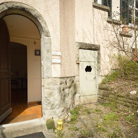 Garden Studio Apartment Zuerichberg Rum bild