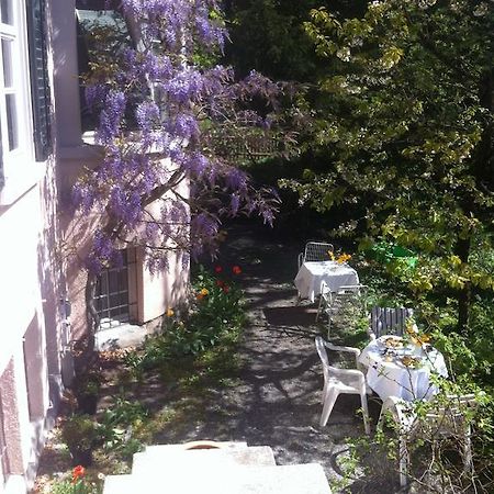 Garden Studio Apartment Zuerichberg Rum bild
