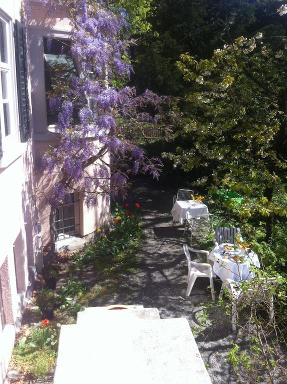 Garden Studio Apartment Zuerichberg Rum bild