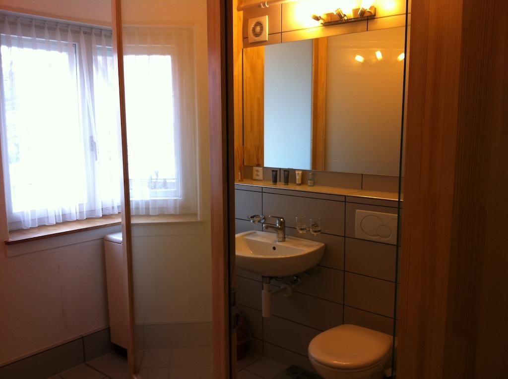 Garden Studio Apartment Zuerichberg Rum bild